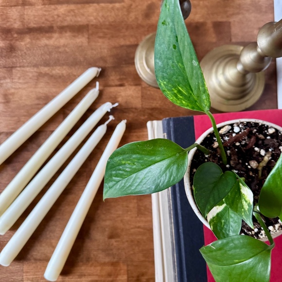 Brass Candle Sticks - Picture 5 of 5